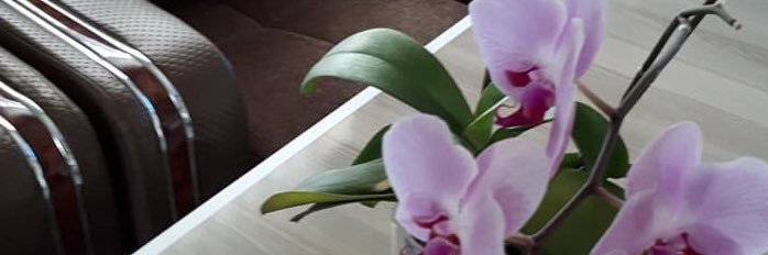 Ismail yalcin banner