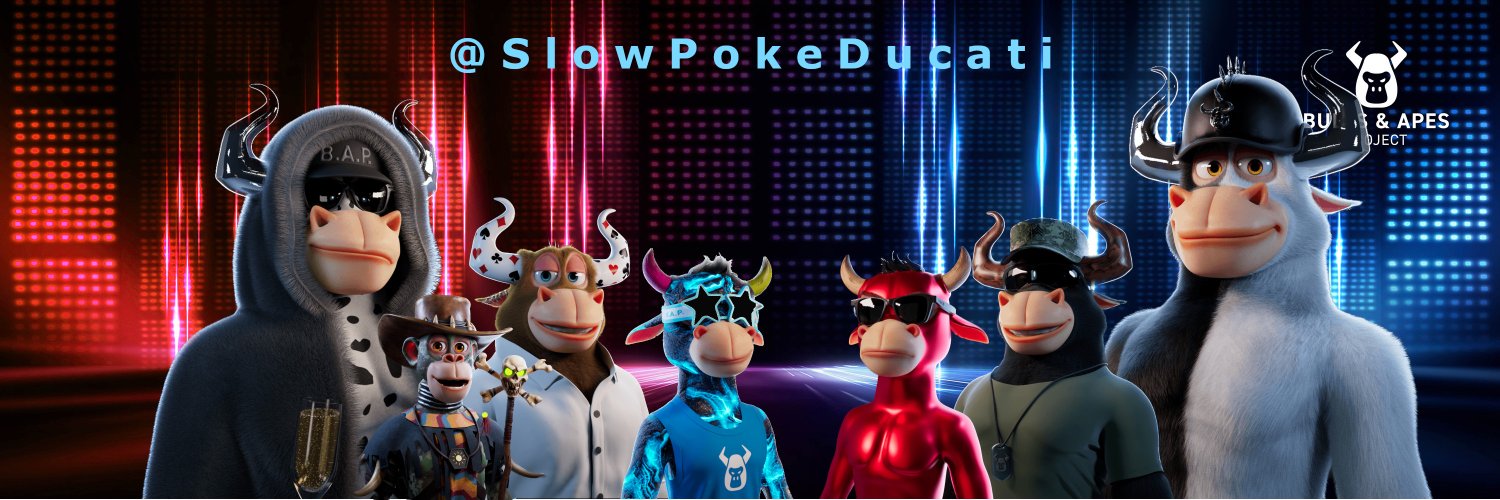 SlowPokeDucati's profile banner image