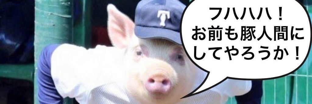 dietnoKAMI's profile banner image