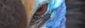 fine_gnk525's profile banner image