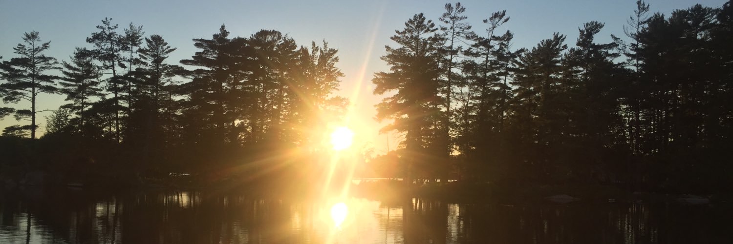 Carlini9's profile banner image