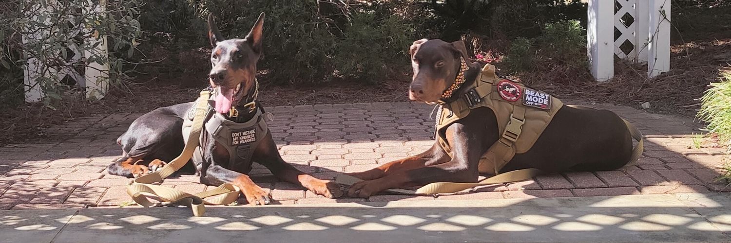 TurboCanine's profile banner image