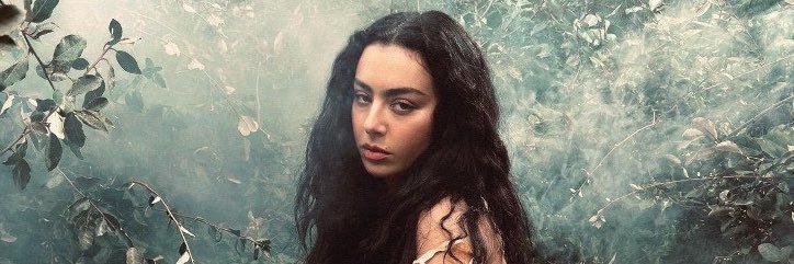shes_aust's profile banner image