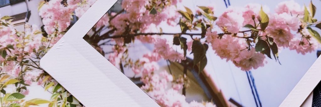 seetto_'s profile banner image