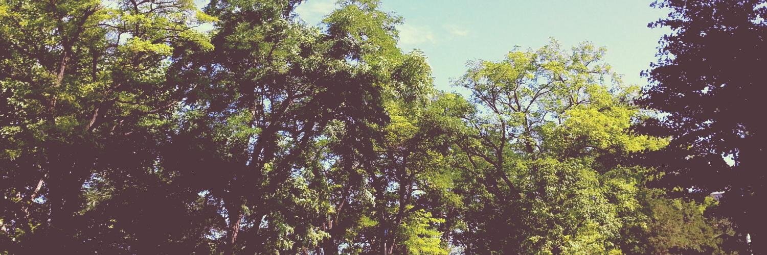 verawang28's profile banner image
