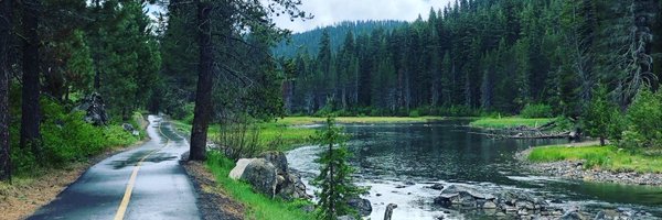 phmullen Profile Banner