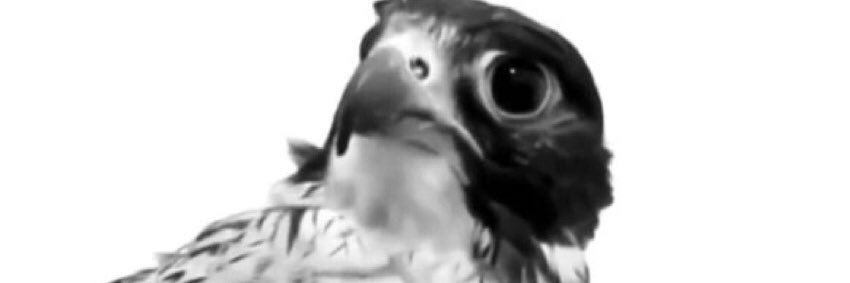 m_qtr10's profile banner image