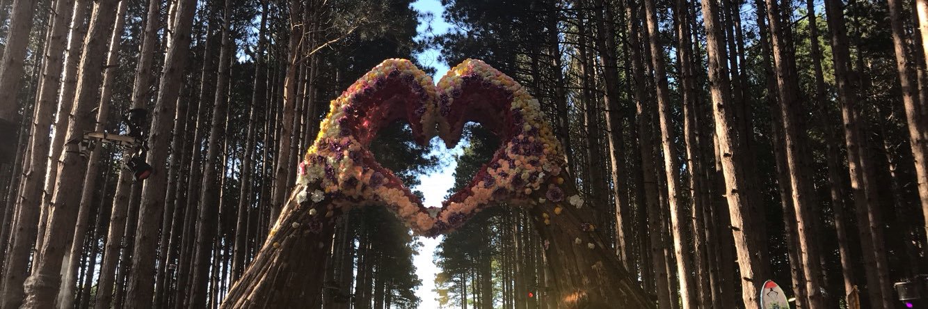 delysiaaa's profile banner image