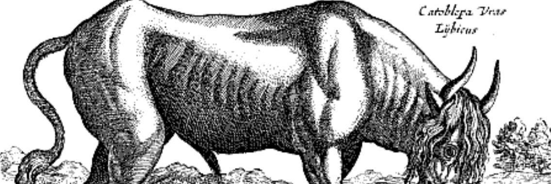 ElCatoblepas's profile banner image