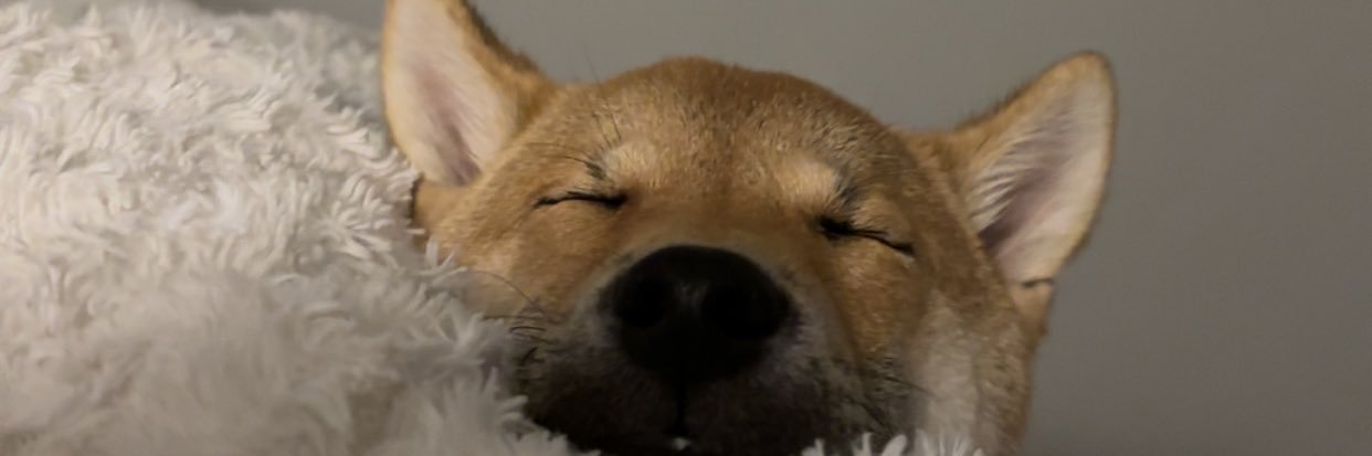 gagou____'s profile banner image