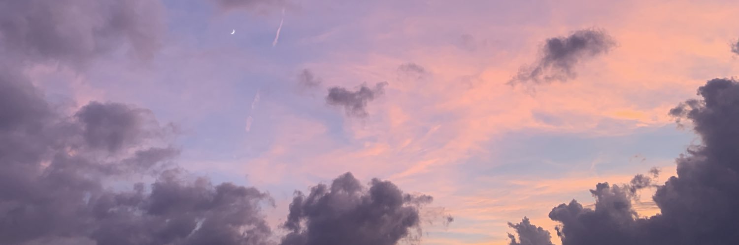 vanesssaspring's profile banner image