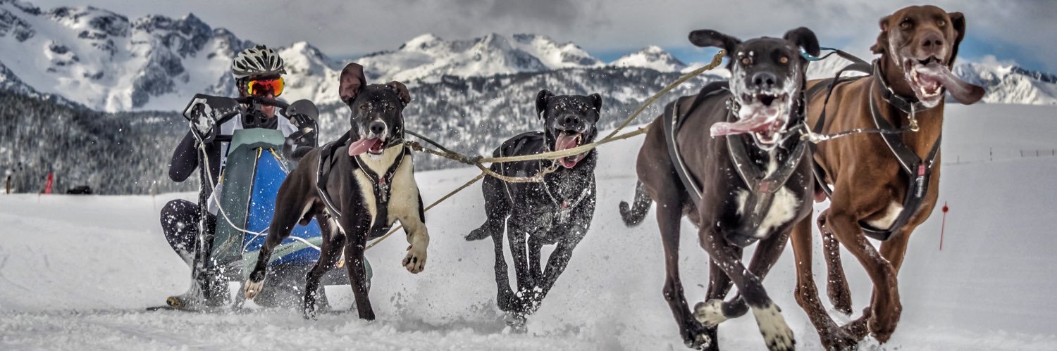 Jorge García Sanz banner
