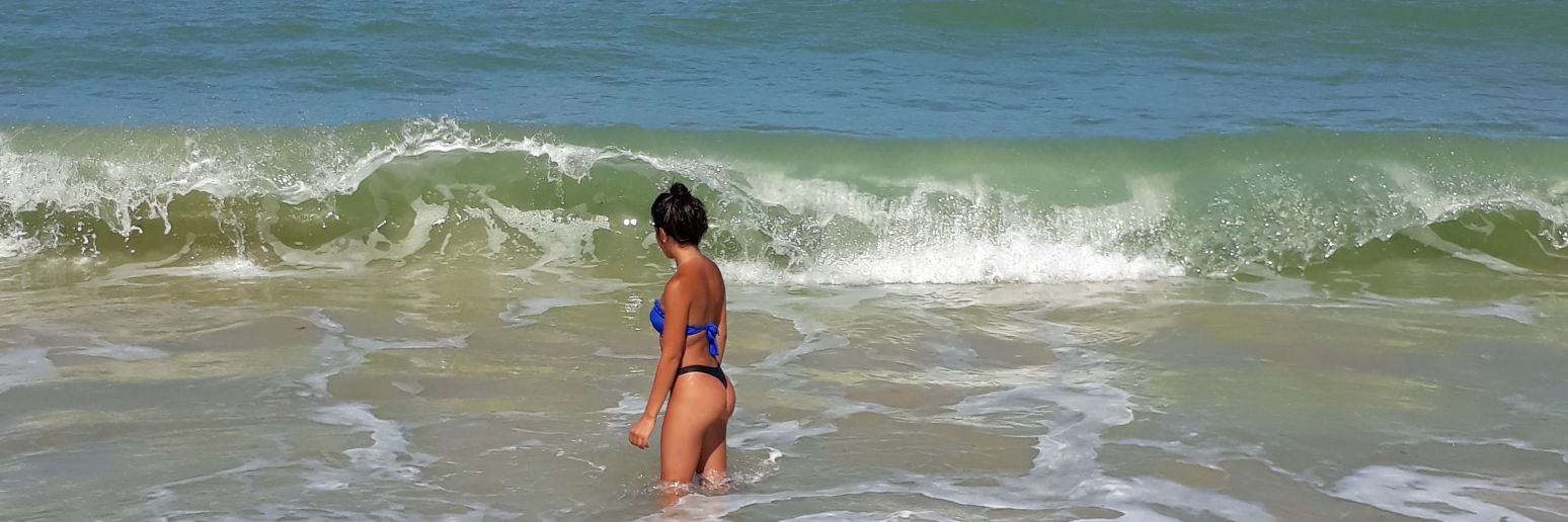 sofiaaraya16's profile banner image