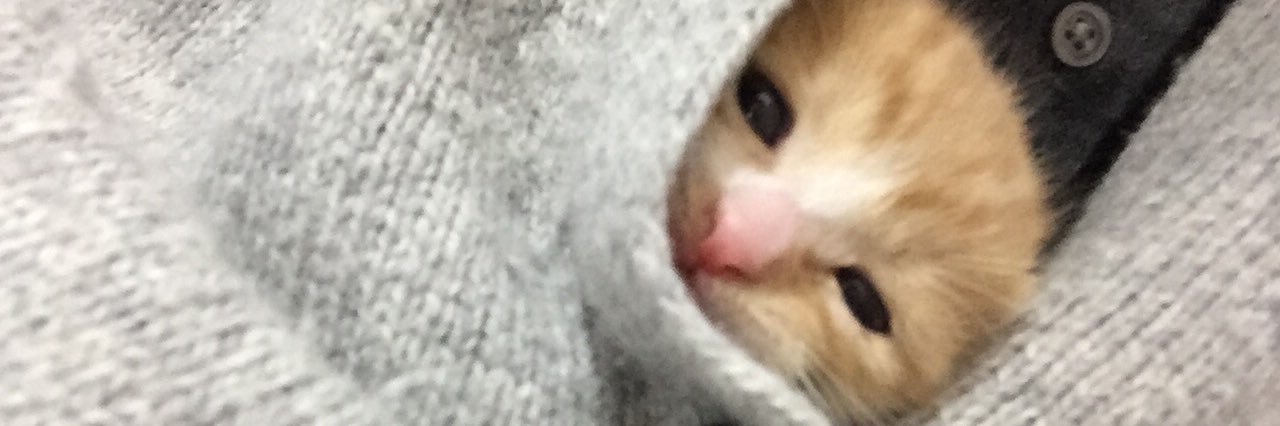 _lele_nyan's profile banner image