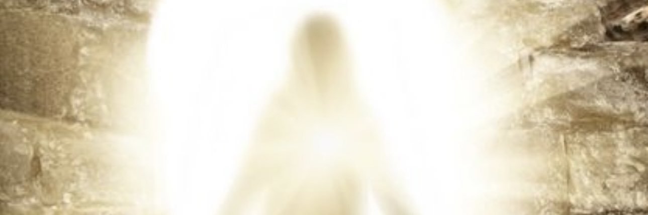 Hotdirt1's profile banner image