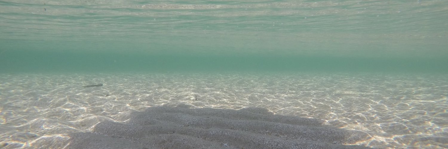 Mimiri0726's profile banner image