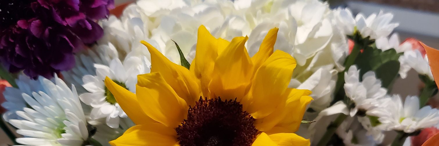 OlirisR's profile banner image