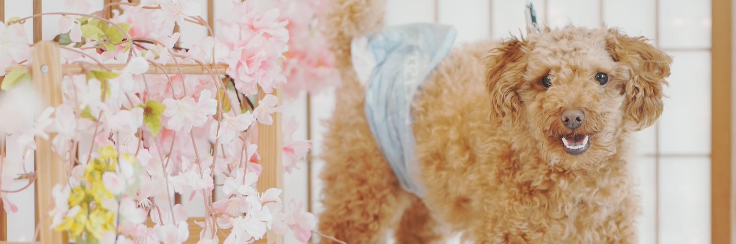 木下 遥's banner