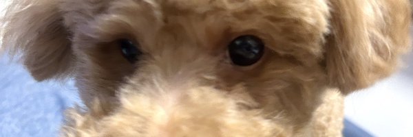 ha_k3 Profile Banner