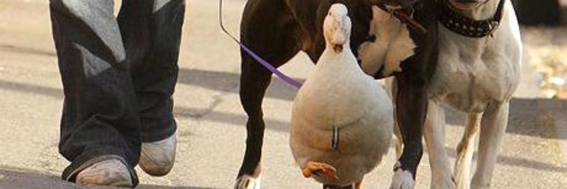 Mr9Nuria's profile banner image