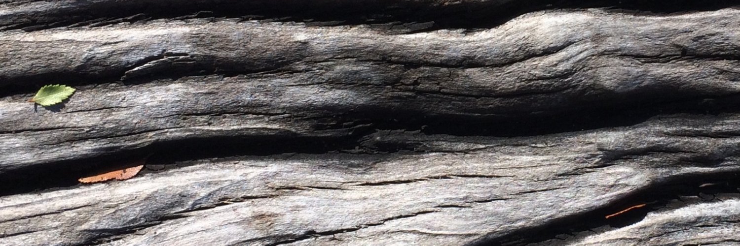 stgoandres's profile banner image