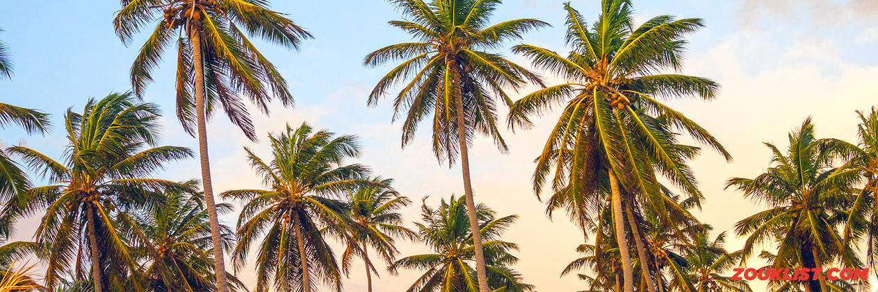 zouklist's profile banner image