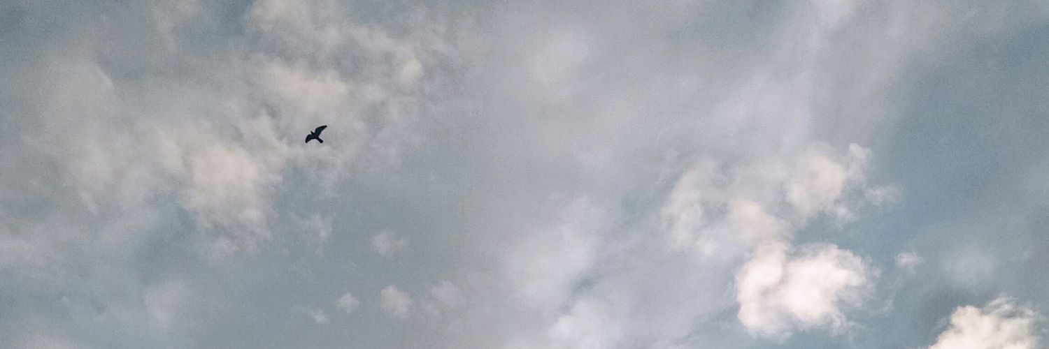 nunon678's profile banner image