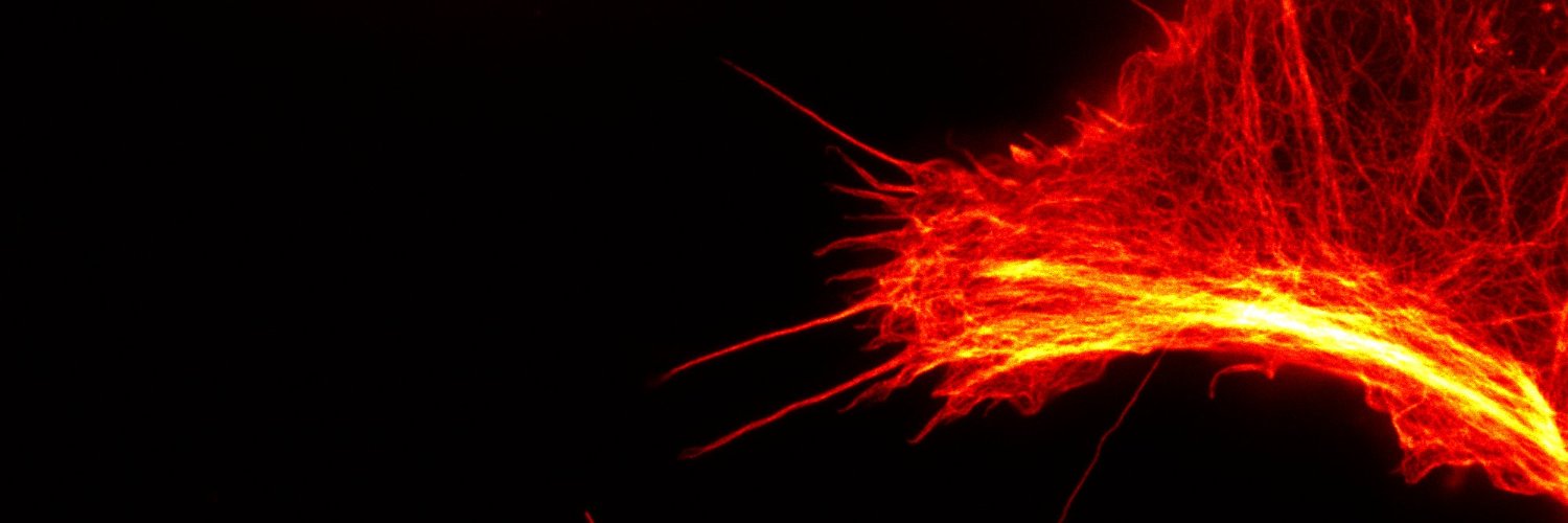 S.Schnorrenberg banner