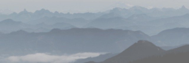 Twitter banner for @displaced