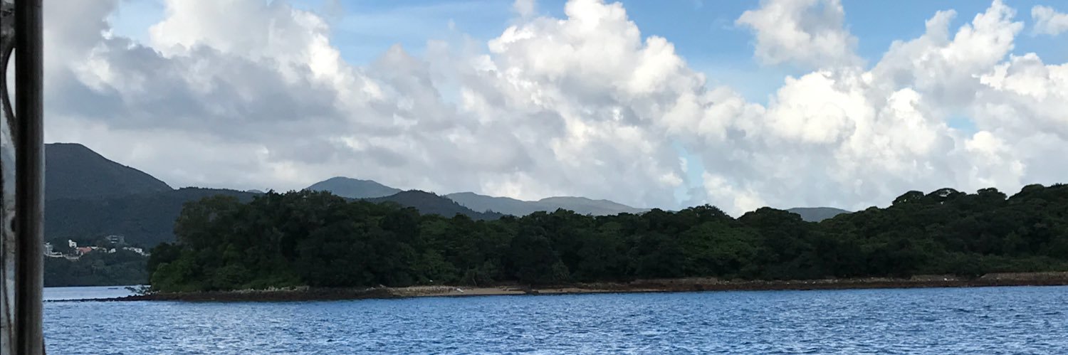 seanthehippo's profile banner image