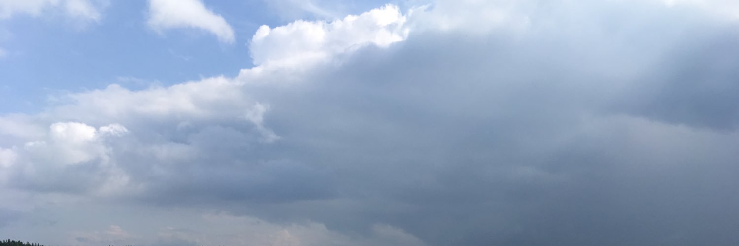 Teroimmo's profile banner image
