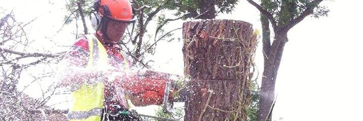 Treeservices96's profile banner image