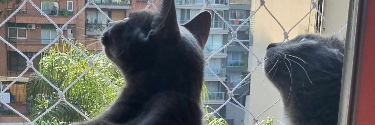 Arbustou's profile banner image