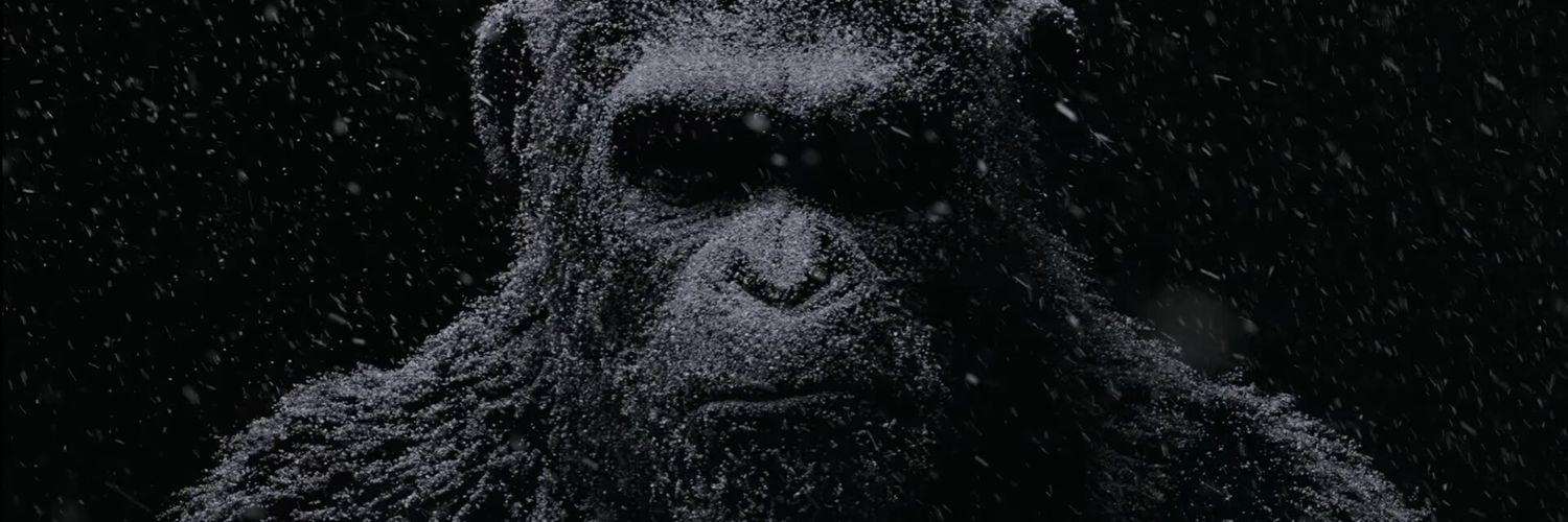 LB3monkey's profile banner image