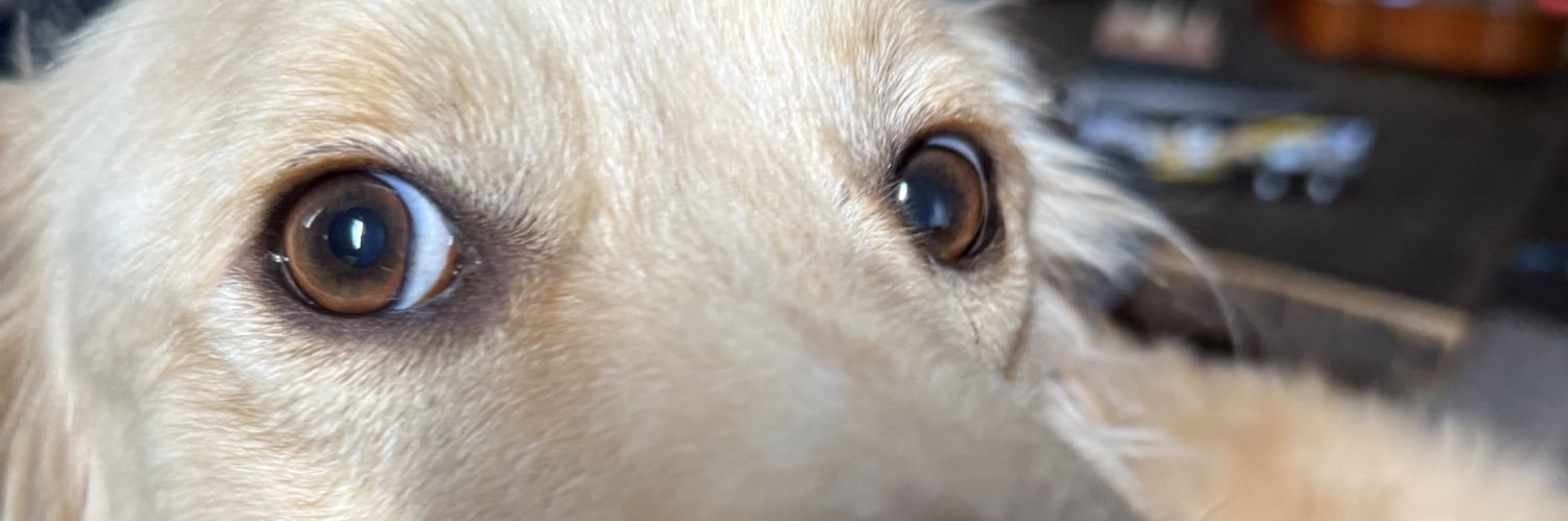 Caleb Higgins banner