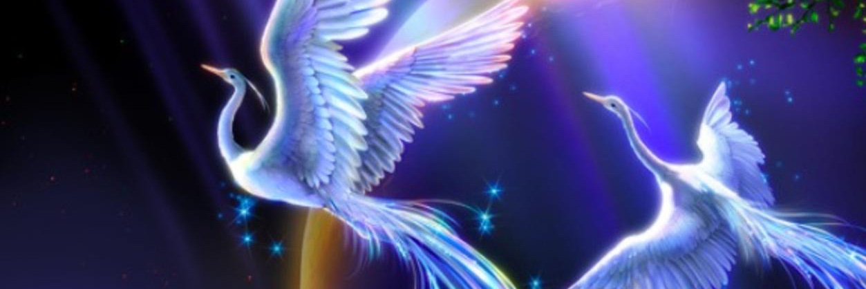 Viuyenvian's profile banner image