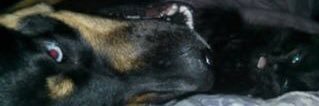 Talieb3's profile banner image