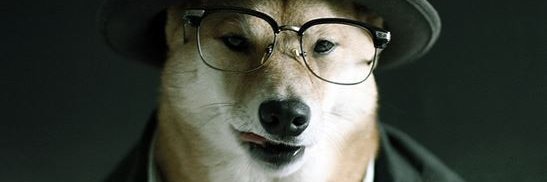 pobebsempic's profile banner image