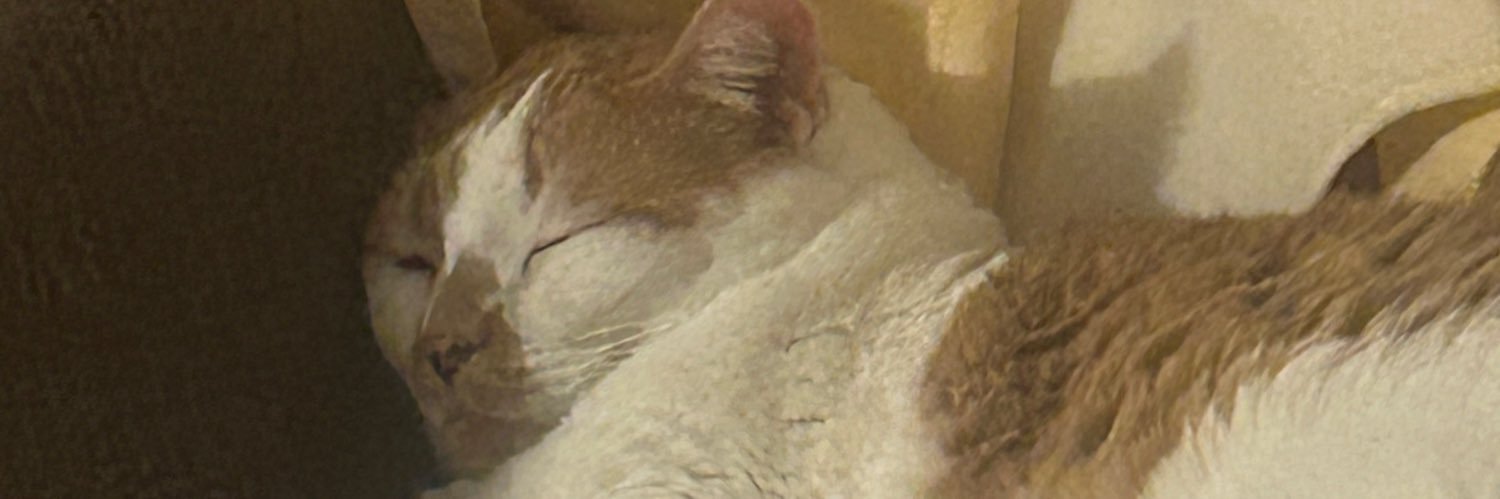 marinarobson1's profile banner image