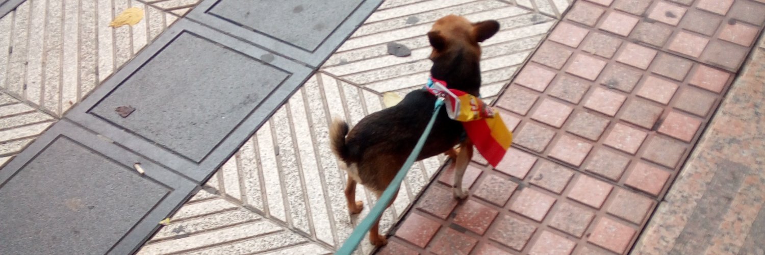 Felisa Pérez Segovia banner