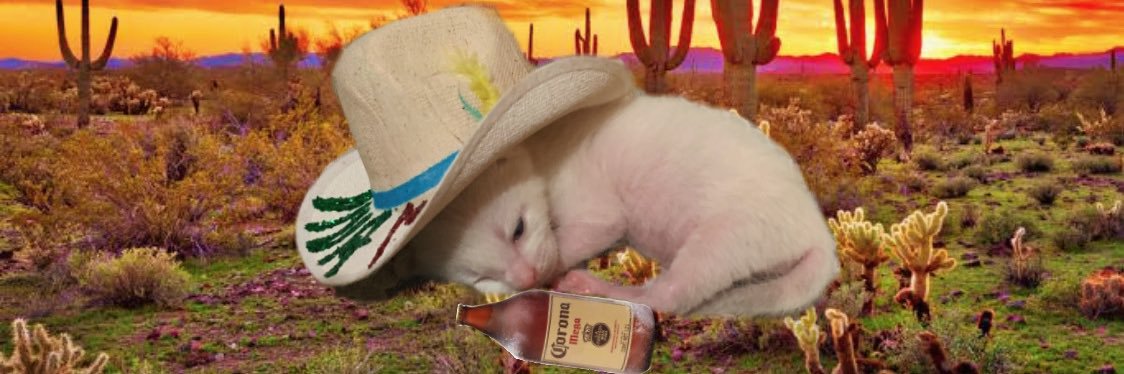 _Aghax's profile banner image