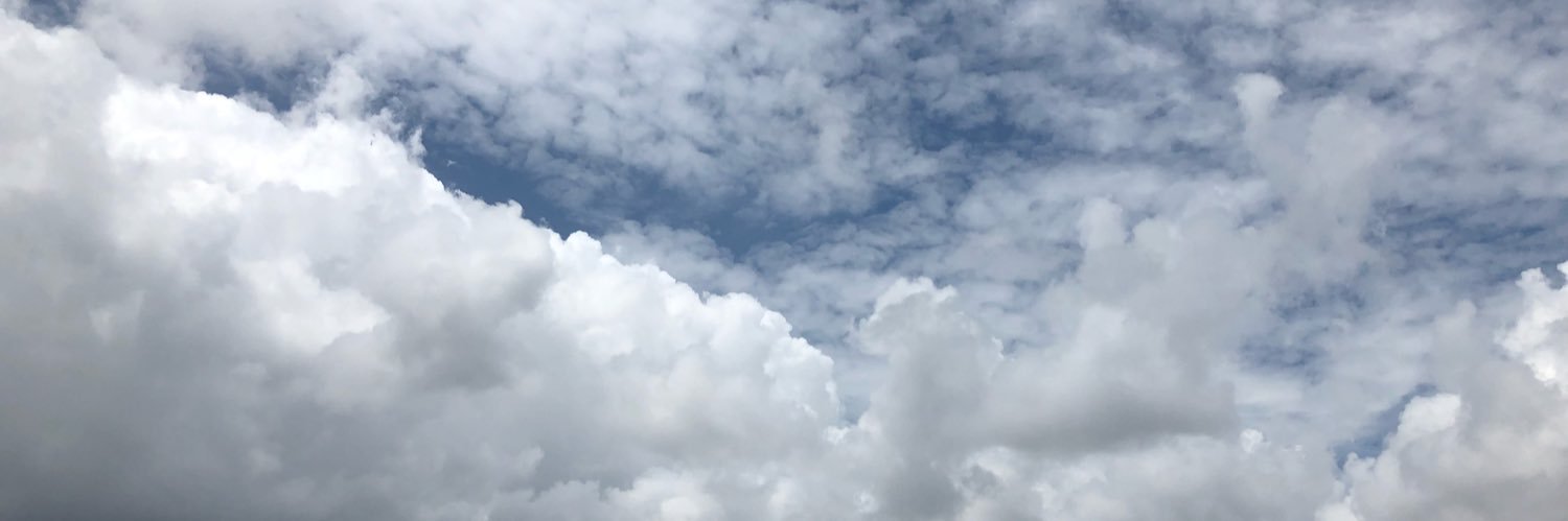 Amazon_Scholar's profile banner image