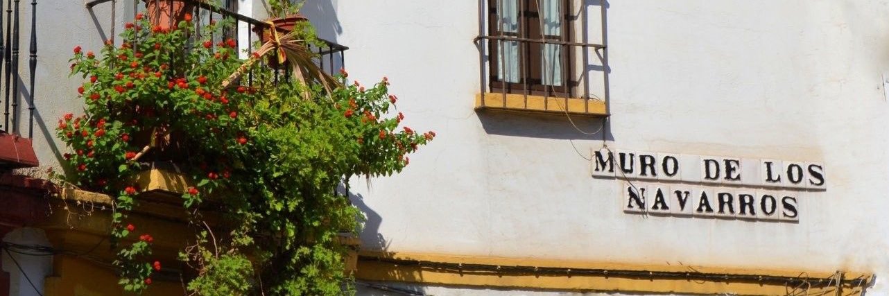 Rafael Navarro 🇪🇸🇮🇱🔺🐍 banner