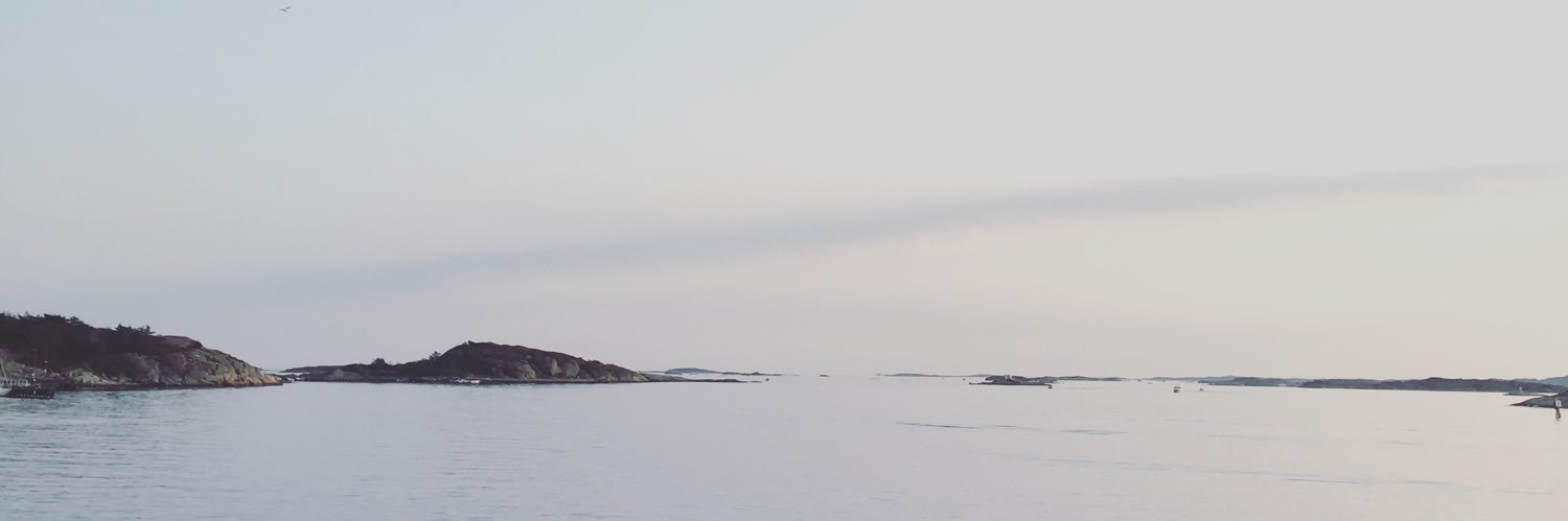 elinnord's profile banner image
