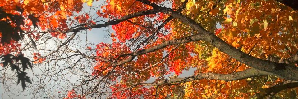 BY_Farm's profile banner image