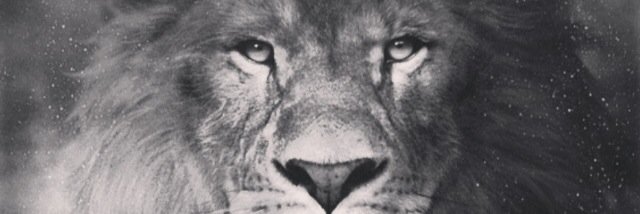 nielsbisp's profile banner image