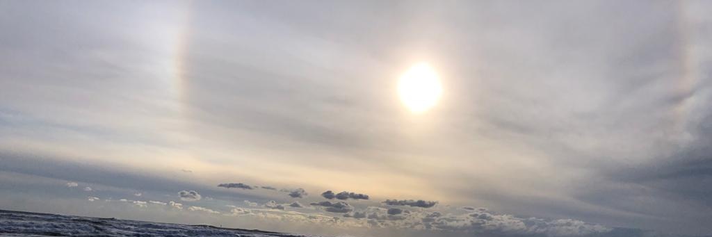 ursulasperrer's profile banner image