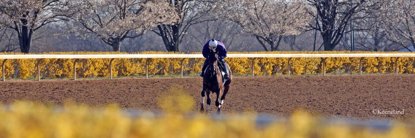 TDN's banner