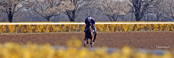 theTDN Profile Banner