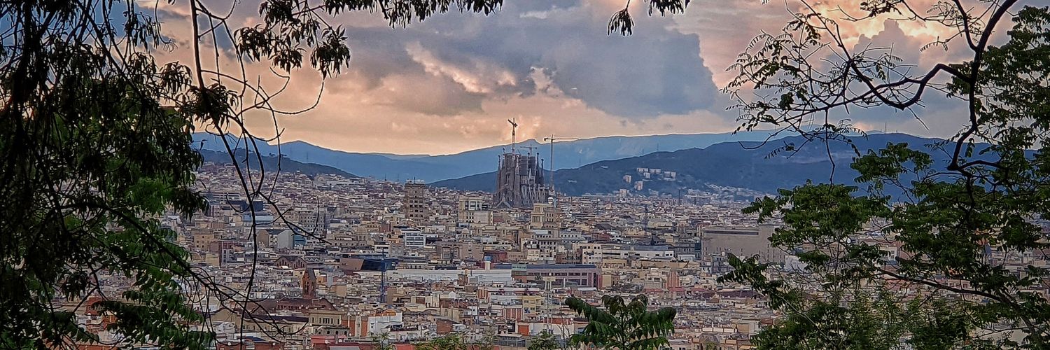 Eva M. Barlabé i Vilanova 🎗 banner